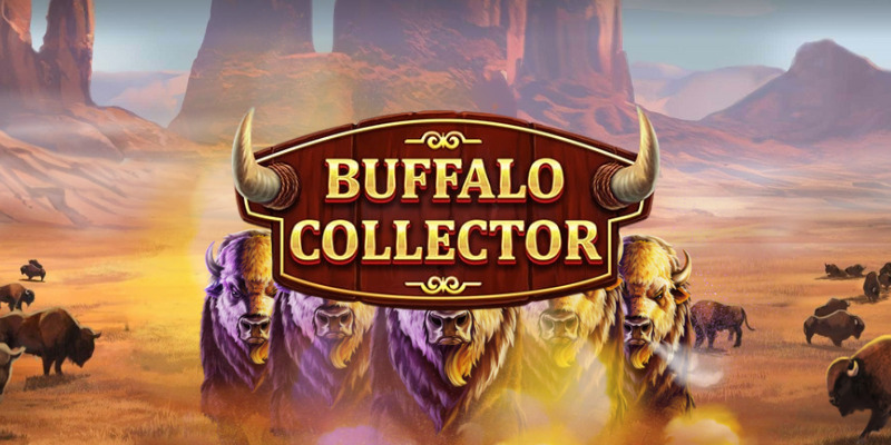 Buffalo Collector: Обзор игрового автомата