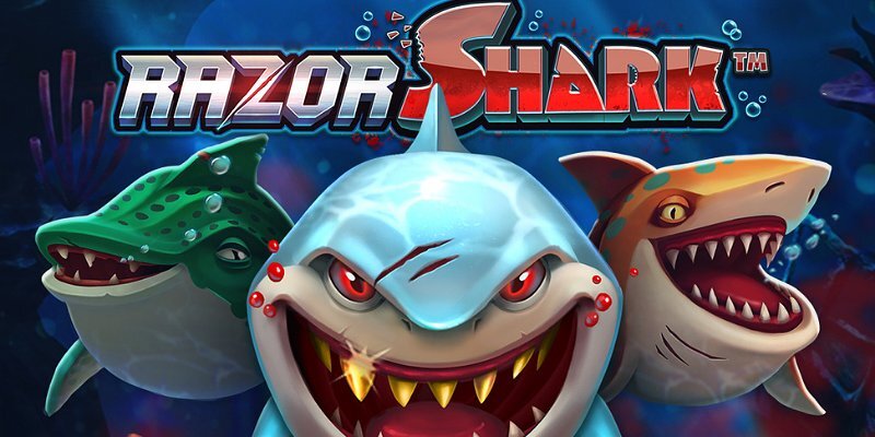 Razor Shark: погружение в мир азарта